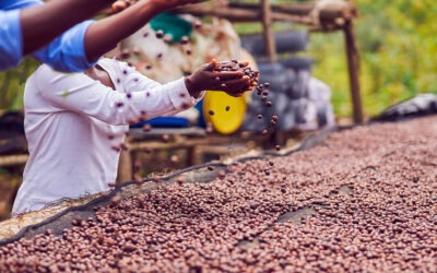 Emerge un nuevo ‘rey del café’