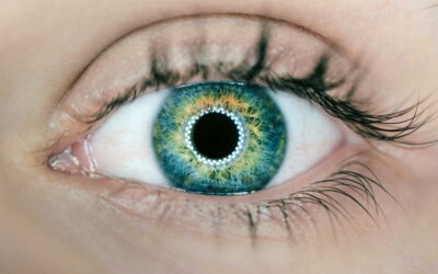 «Esto lo cambia todo»: impresión en 3D devuelve la vista a un ciego