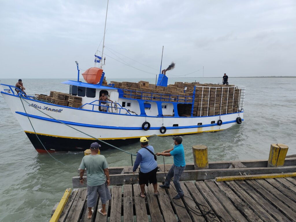 pesca