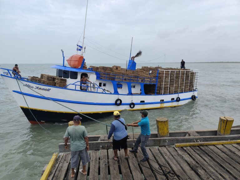 pesca