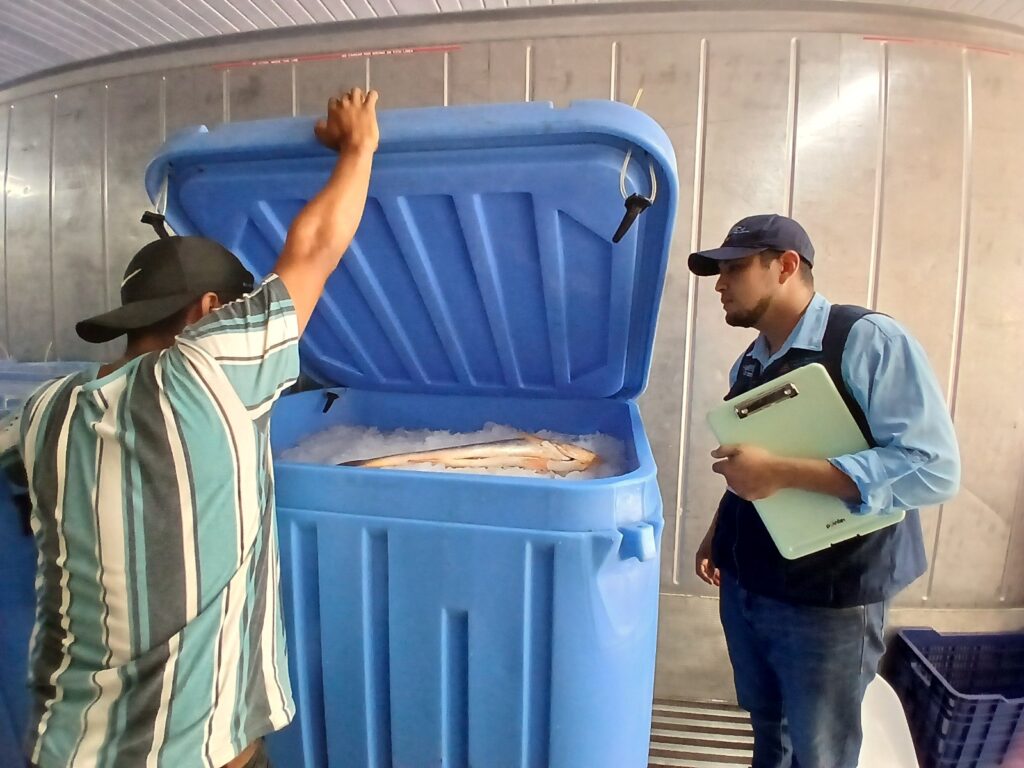 pesca