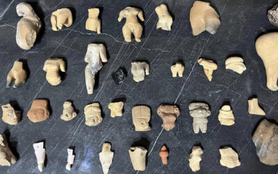 Hallazgo arqueológico en un campo de maíz: piezas invaluables para un museo