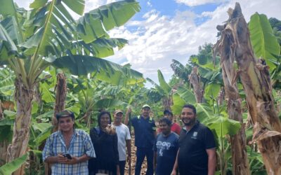 OMETEPE : CAPACITÁNDONOS EN PLÁTANO