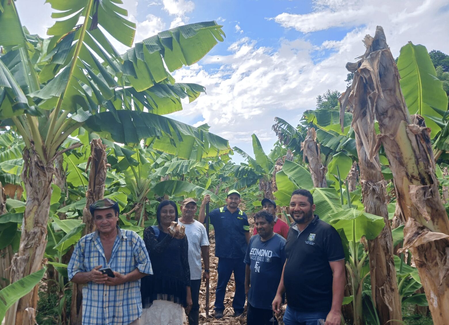 OMETEPE : CAPACITÁNDONOS EN PLÁTANO