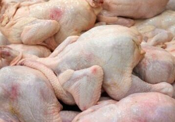 MAG reporta 320.2 millones de libras de carne de pollo