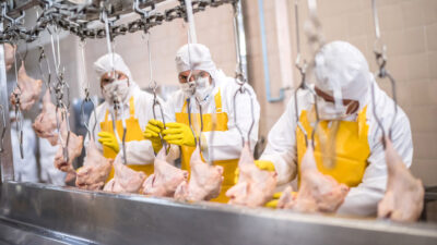 Estudio revela el riesgo oculto del pollo barato