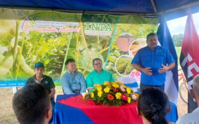 INTA presenta resultados de producción de soya en Chinandega