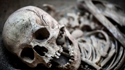 Una amenaza mortal ya existía hace 5.500 años