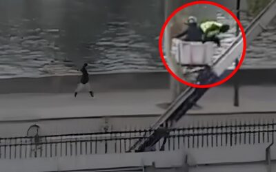 Huida de los ladrones tras el robo en el Louvre