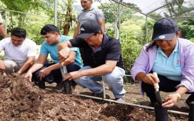 Mejoramiento e instalación de 3 viveros en los municipales
