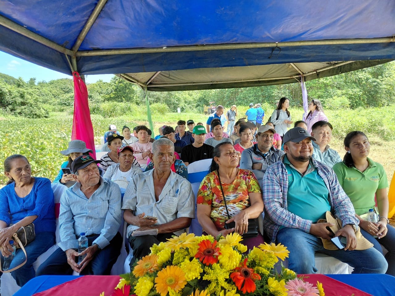 producción de soya 