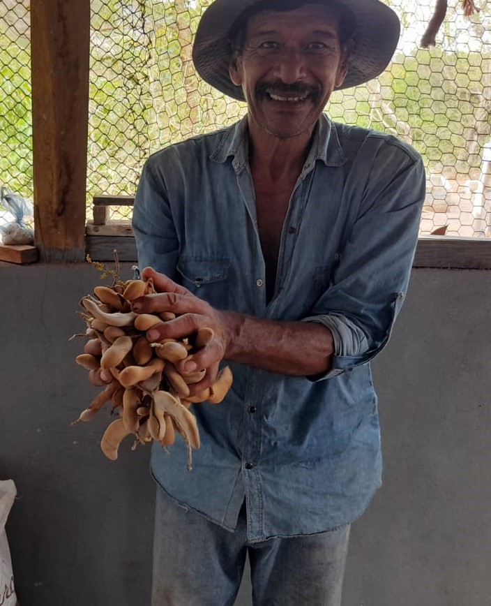 tamarindo