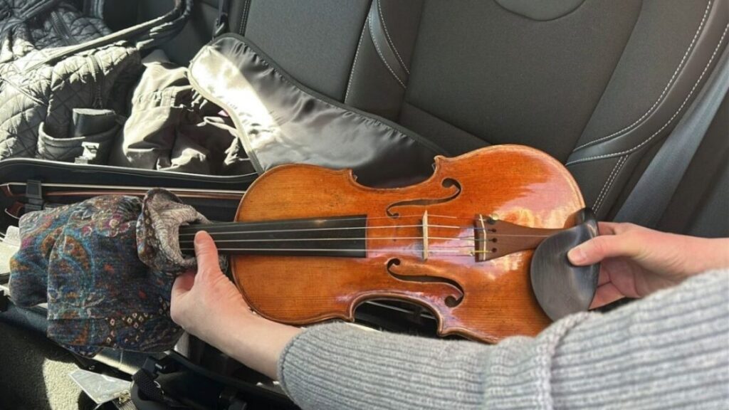 Violín