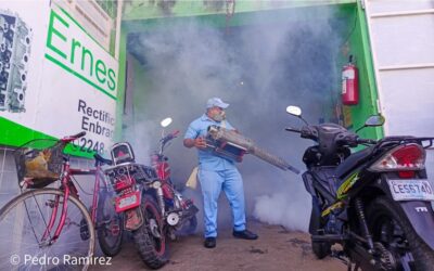 Fumigación y destrucción de criaderos en el barrio Javier Cuadra